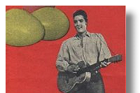 elvis