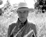 Marius Müller-Westernhagen