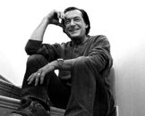 Stefan Zauner